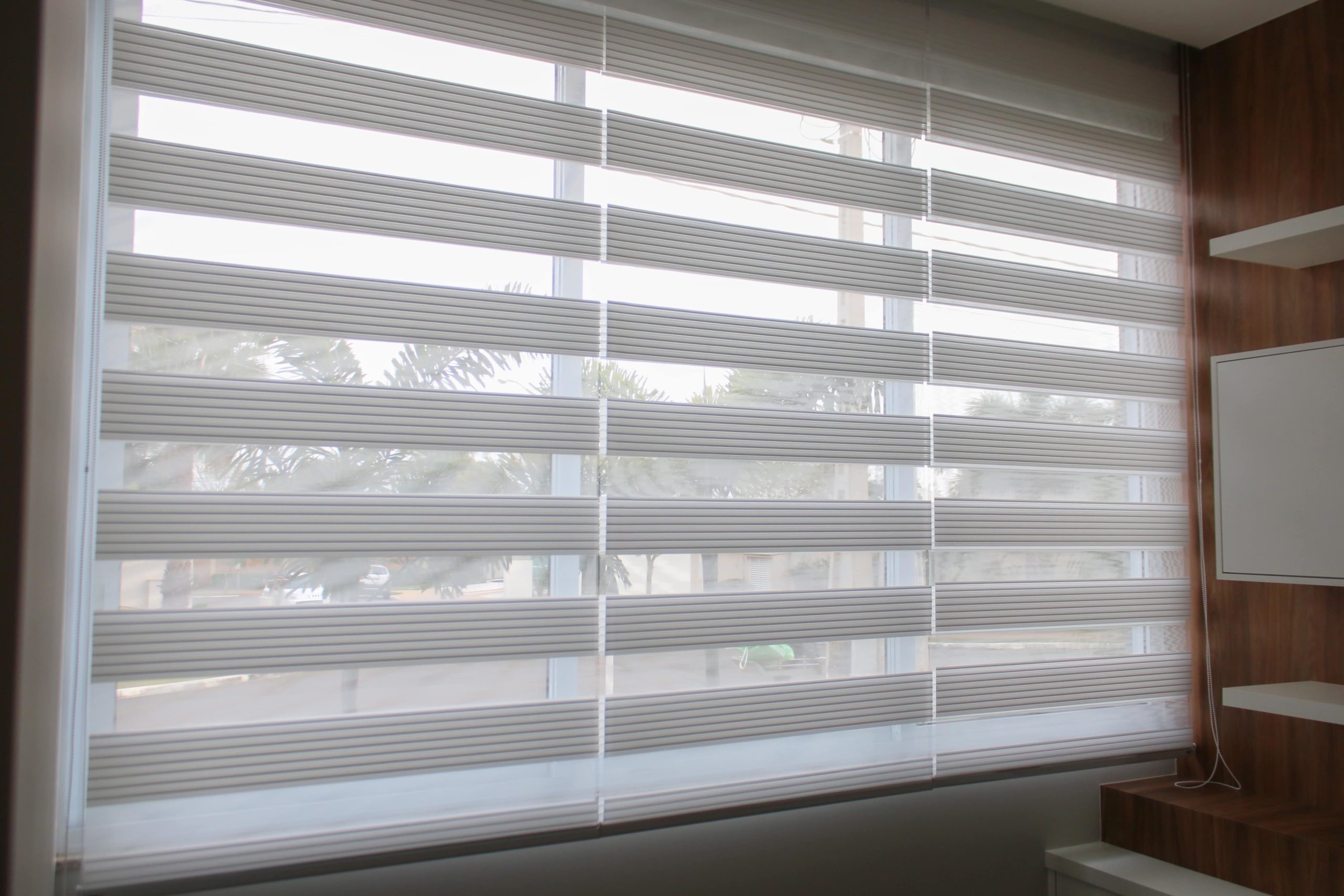 Zebra  blinds for windows